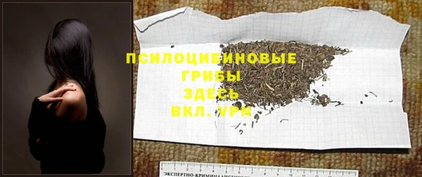 стаф Алексин