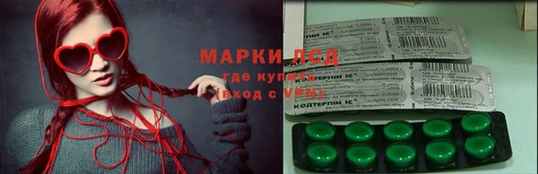 эйфоретик Алзамай