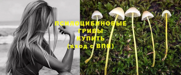 меф Ладушкин
