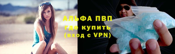 стаф Алексин