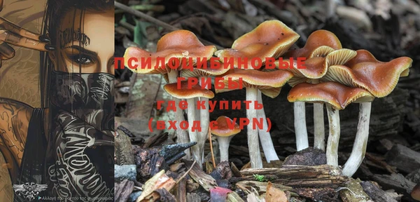 гашишное масло Лагань
