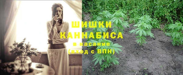 ПСИЛОЦИБИНОВЫЕ ГРИБЫ Лабытнанги