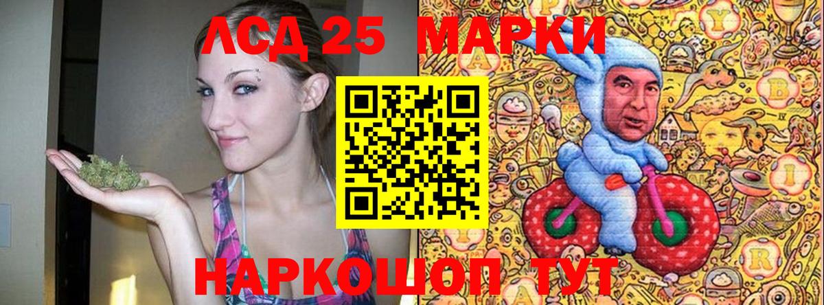 Наркотические марки 1500мкг Лесной