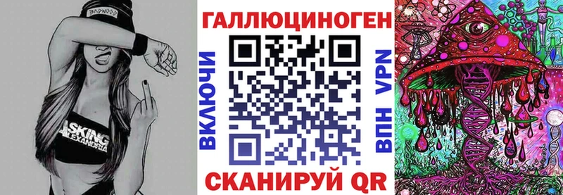 Псилоцибиновые грибы Psilocybe Лесной