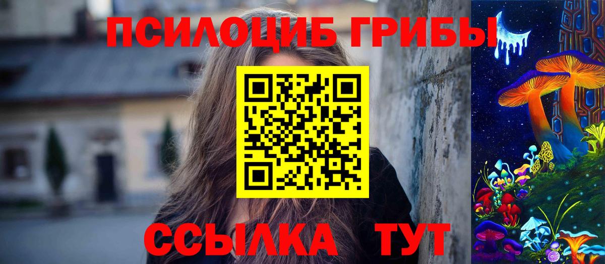 Галлюциногенные грибы GOLDEN TEACHER Лесной