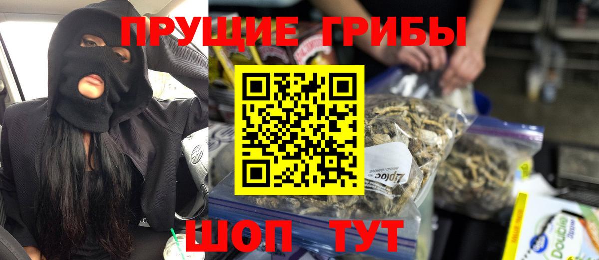 Псилоцибиновые грибы ЛСД Лесной