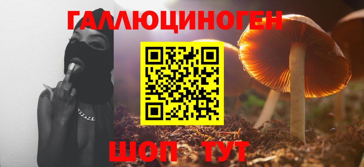 Лесной  Галлюциногенные грибы мицелий  Галлюциногенные грибы мухоморы  Вход с VPN 