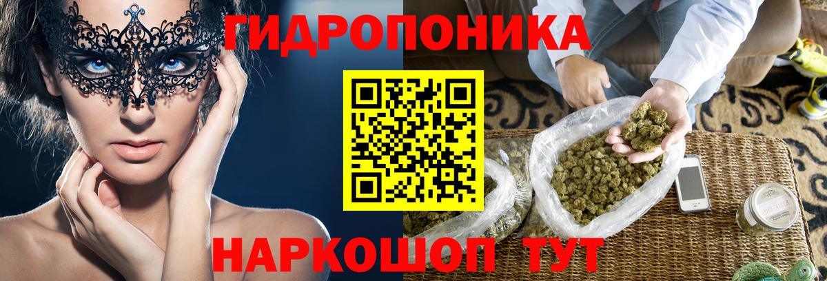 Бошки Шишки MAZAR Лесной